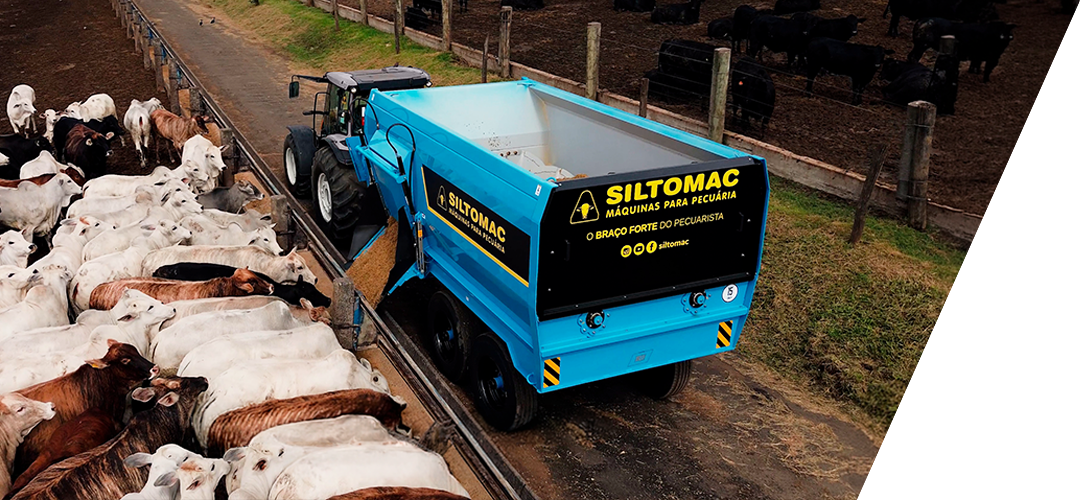 15.8R eficiência